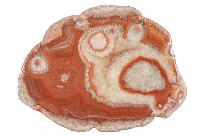 Polished Potato Agate Slice - England #283085